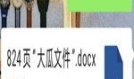 网红大瓜文件docx,一场关于娱乐圈的深度剖析
